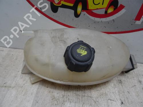 Used Expansion tank RENAULT TRAFIC II Van (FL) 2.5 dCi 145 (FL0J) (146 hp) 13273960