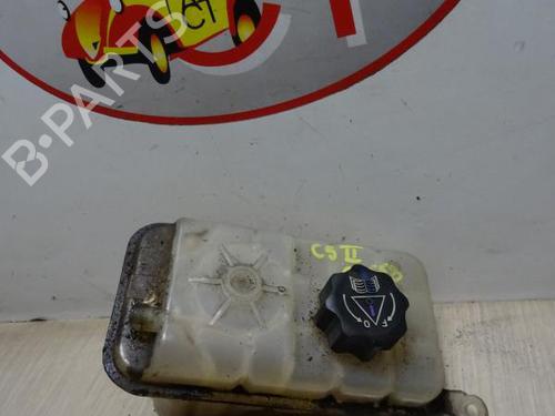 Used Expansion tank CITROËN C5 III (RD_) 2.0 16V (RDRFJC, RDRFJF) (140 hp) 13274009