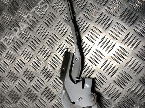 BP31199711C146 main image