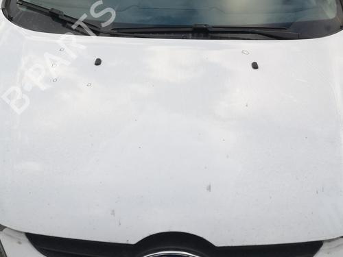 Cofano anteriore FORD FIESTA VI (CB1, CCN) 1.25 (60 hp) 30481818