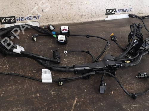 Ledningsnett BMW 3 Touring (G21, G81) 330 i xDrive (245 hp) 20496334