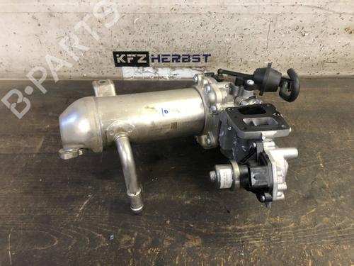 Used Egr FORD RANGER (TKE) 2.0 EcoBlue Rear-Wheel Drive (180 hp) 19944862