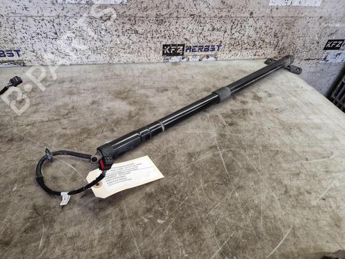 Used Tailgate lift support FORD C-MAX II (DXA/CB7, DXA/CEU) 1.0 EcoBoost (100 hp) 33038807