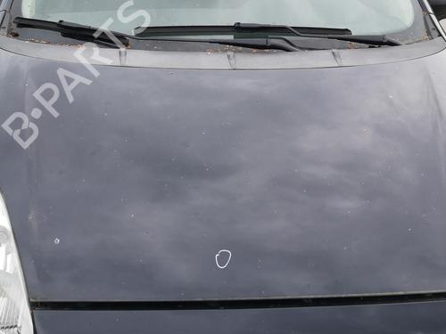 Used Hood FIAT GRANDE PUNTO (199_) 1.4 LPG (78 hp) 29912504