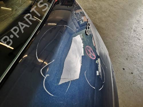 Tailgate OPEL CORSA D (S07) 1.4 (L08, L68) | BP20134974C6 