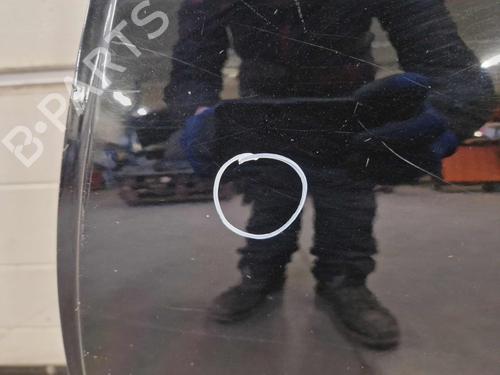 Left rear door RENAULT CLIO IV (BH_) 1.2 16V | BP30769793C4