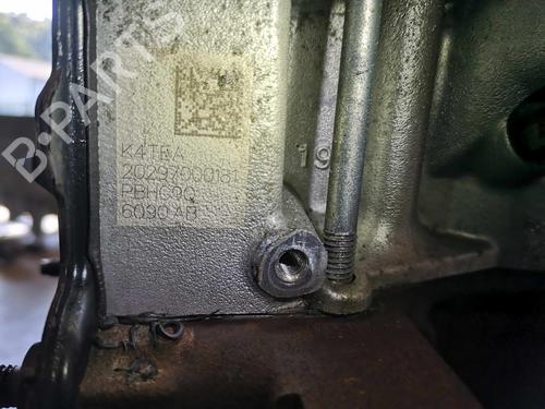 Engine FORD TRANSIT V363 Van (FCD, FDD) 2.0 EcoBlue RWD | BP22281061M1 