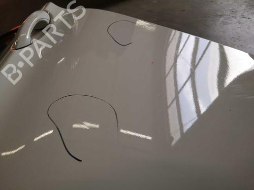 Left rear door BMW 5 Touring (F11) 530 d | BP12895141C4 