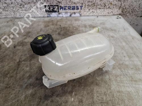 Vaso de expansão DACIA SANDERO III 1.0 TCe 110 (110 hp) 31640491