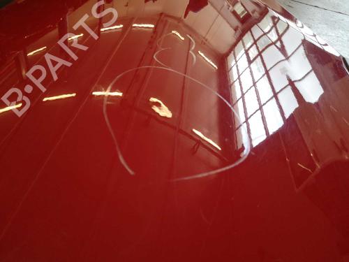 Left rear door DACIA SANDERO 1.2 16V | BP22278905C4