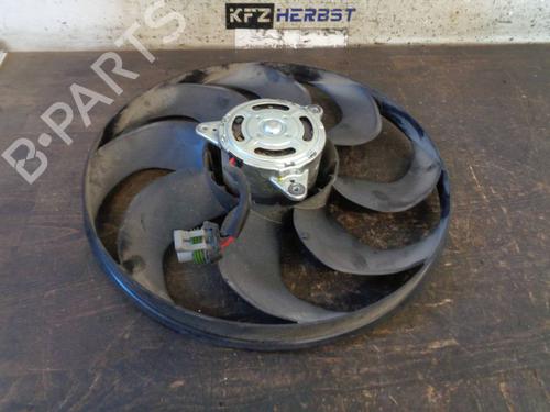 Radiator fan FORD C-MAX II (DXA/CB7, DXA/CEU) 1.6 TDCi (115 hp) 12873993