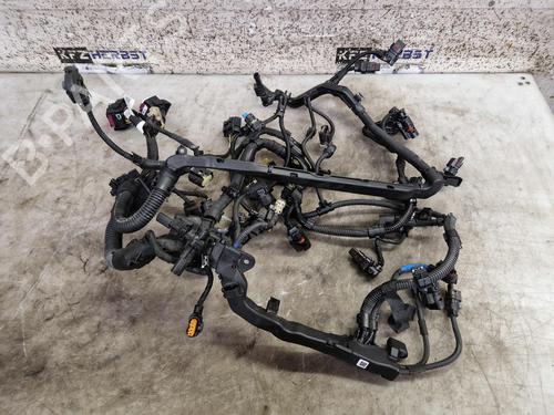 Ledningsnet BMW X1 (U11) sDrive 18 d (150 hp) 31017017