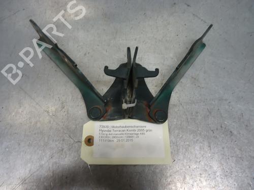 Used Hinge/Door check strap HYUNDAI TERRACAN (HP) 2.9 CRDi 4WD (150 hp) 13066275