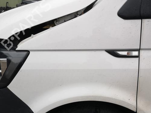 Used Left front fenders VW TRANSPORTER T6 Platform/Chassis (SFD, SFE, SFL, SFZ, SJD, SJ 2.0 TDI (150 hp) 31028625