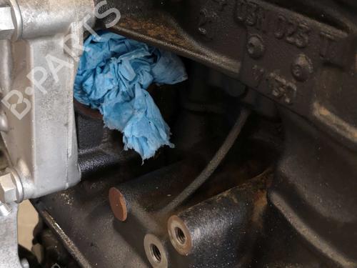 Motor VW TRANSPORTER T6 / CARAVELLE T6 Bus (SGB, SGJ, SHB, SHJ) 2.0 TDI | BP22288518M1 