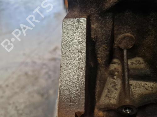 Engine FORD TRANSIT V363 Van (FCD, FDD) 2.0 EcoBlue RWD | BP32475555M1