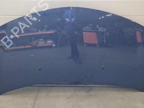 hood-renault-clio-iii-br01-cr01-2005-2006-2007-2008-2009-2010-2011-2012-2013-2014-34345281 main image