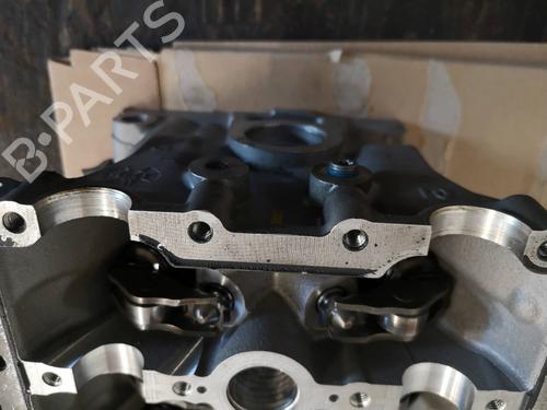 Cylinder head AUDI R8 (4S3, 4SP) 5.2 FSI Plus quattro | BP29168645M5