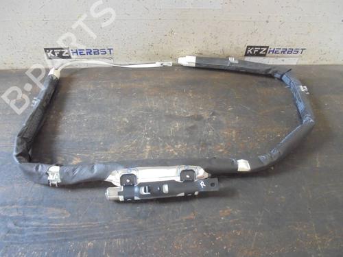 Airbag de toit droit RENAULT SCÉNIC III (JZ0/1_) 1.5 dCi (110 hp) 12870791