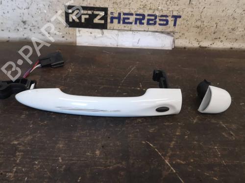 Exterior handle RENAULT SCÉNIC III (JZ0/1_) 1.5 dCi | BP12892055C122 