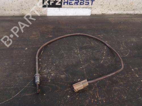 Elektronisk sensor RENAULT SCÉNIC III (JZ0/1_) 1.5 dCi (110 hp) 12891040