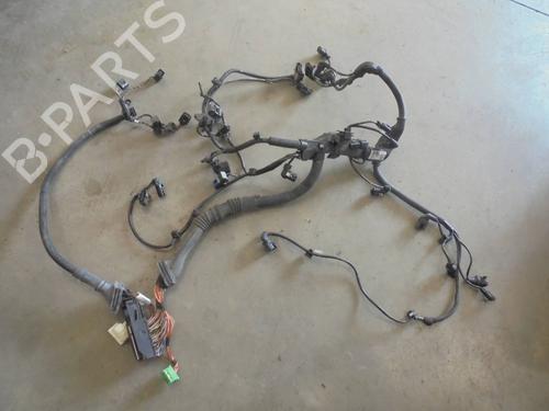 Used Wiring harness BMW X3 (F25) xDrive 20 d (163 hp) 13441302