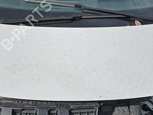 Panser CUPRA BORN (K11) 58 (204 hp) 29395640