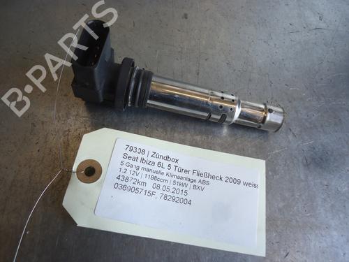 Used Electronic module SEAT IBIZA III (6L1) 1.2 12V (70 hp) 20124617