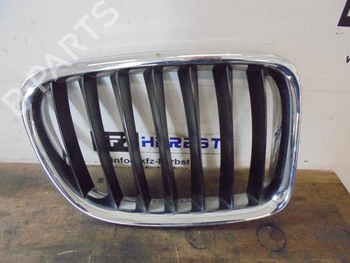 Grill/Gitter BMW X1 (E84) xDrive 18 d (143 hp) 12865390