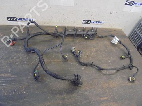Ledningsnett OPEL CORSA C (X01) 1.3 CDTI (F08, F68) (70 hp) 20124644