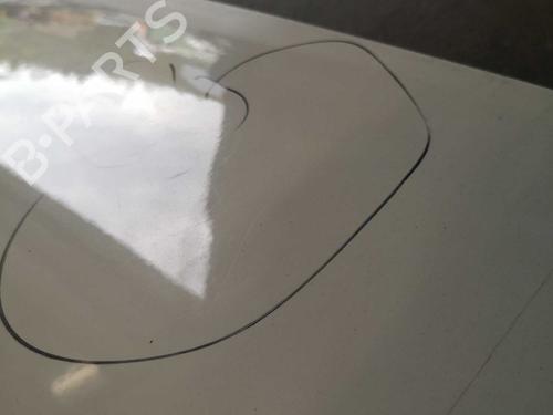 Tailgate FIAT GRANDE PUNTO (199_) 1.2 | BP22277448C6 