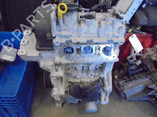 Motor VW POLO V (6R1, 6C1) 1.0 (60 hp) 13442100