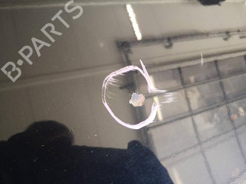 Right front door VW PASSAT B6 (3C2) 2.0 TFSI | BP20139014C3 