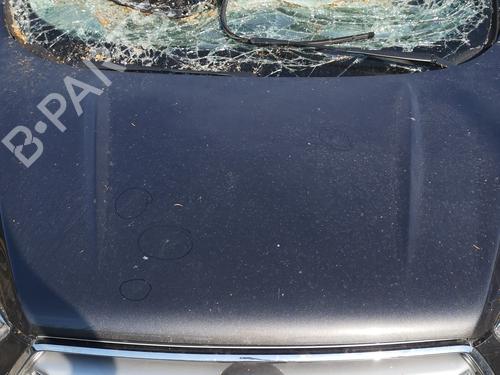 Used Hood Hood 37068486 37068486