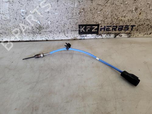 Elektronische sonde FORD TRANSIT CUSTOM V362 Van (FY, FZ) 2.0 EcoBlue (130 hp) 24838118