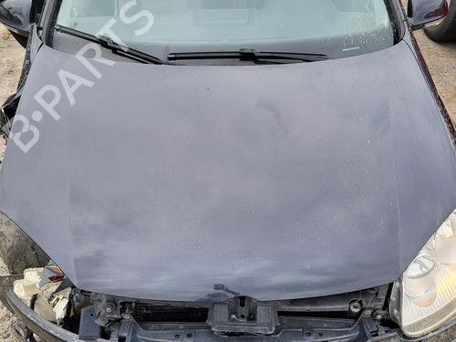 Used Hood Hood VW GOLF V (1K1) 1.9 TDI (90 hp) 39911354 39911354