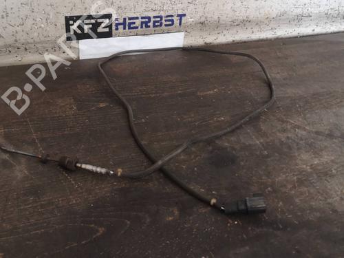 Elektronisk sensor FORD GALAXY II (WA6) 2.0 TDCi (140 hp) 12893326