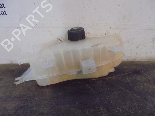 Used Expansion tank RENAULT CLIO III (BR0/1, CR0/1) 1.2 16V (BR02, BR0J, BR11, CR02, CR0J, CR11) (75 hp) 13061601