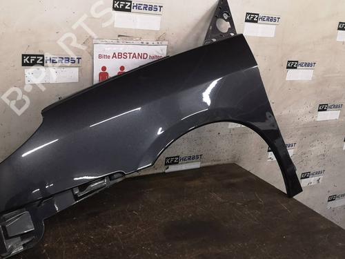 Left front fenders CITROËN C8 (EA_, EB_) 2.0 HDi 135 (136 hp) 12876196