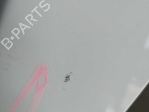 Left front door CITROËN NEMO Box Body/MPV (AA_) 1.4 HDi | BP22277841C2 