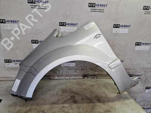 Used Left front fenders FORD GALAXY II (WA6) 2.0 TDCi (140 hp) 30062796