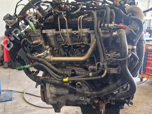 Engine FORD FUSION (JU_) 1.6 | BP37199283M1 - Image 2