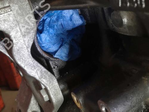 Engine VW GOLF VII (5G1, BQ1, BE1, BE2) 2.0 TDI | BP22285851M1 