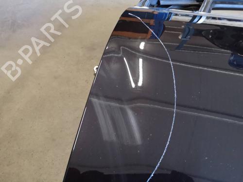 Left front door FIAT BRAVO II (198_) 1.6 D Multijet (198AXH1B) | BP12895617C2 