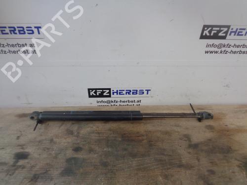 Used Tailgate lift support RENAULT SCÉNIC II (JM0/1_) 1.9 dCi (JM0G, JM12, JM1G, JM2C) (120 hp) 13060877