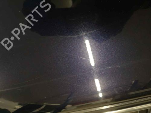 Left rear door VOLVO S80 II (124) D3 / D4 | BP12894707C4 