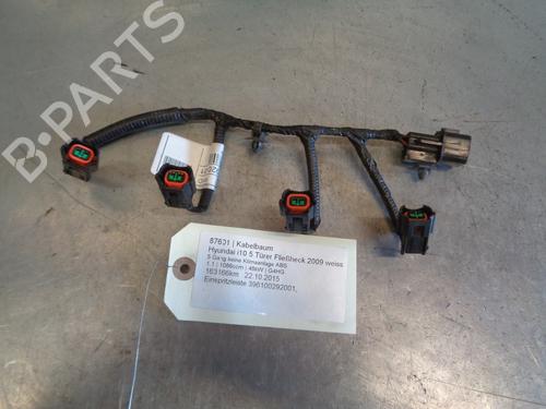 Used Wiring harness HYUNDAI i10 I (PA) 1.1 (67 hp) 30854568