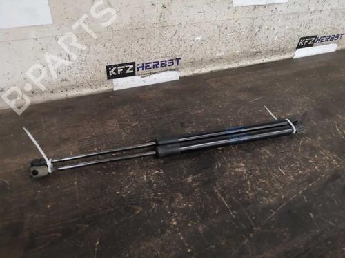 Used Tailgate lift support VW GOLF VII (5G1, BQ1, BE1, BE2) 1.6 TDI (90 hp) 13439249