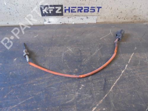 Elektronisk sensor FORD GALAXY II (WA6) 1.6 TDCi (115 hp) 12889403