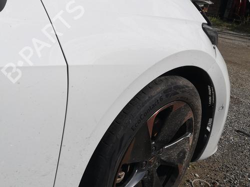 Right front fenders CUPRA BORN (K11) 58 | BP29395641C42 